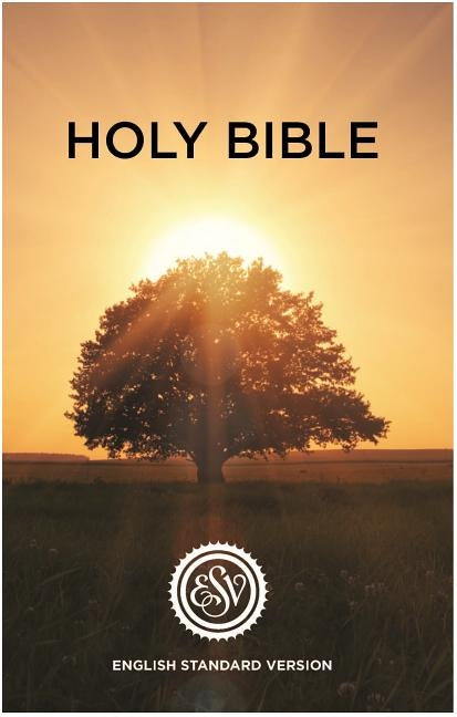 ESV English Standard Version Outreach Bible by Crossway
