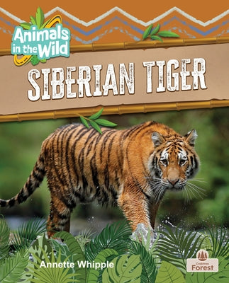 Siberian Tiger by Whipple, Annette