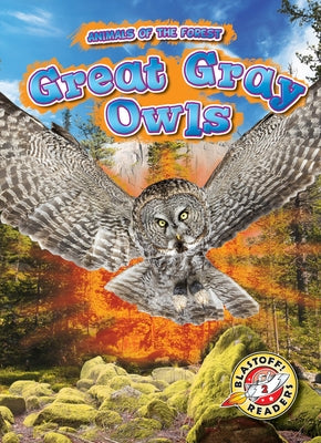 Great Gray Owls by Albertson, Al
