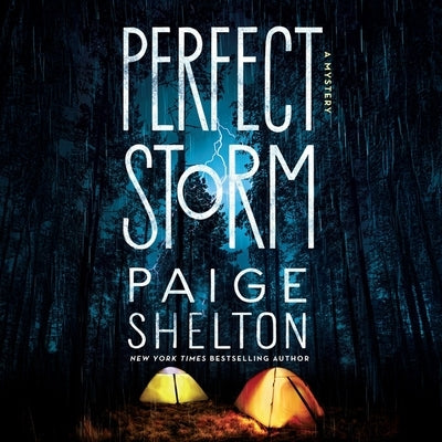 Perfect Storm by Shelton, Paige
