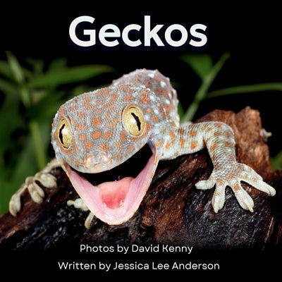 Geckos: Get to Know More About These Vocal Lizards! by Anderson, Jessica Lee