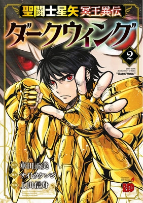 Saint Seiya: Dark Wing Vol.2 by Kurumada, Masami