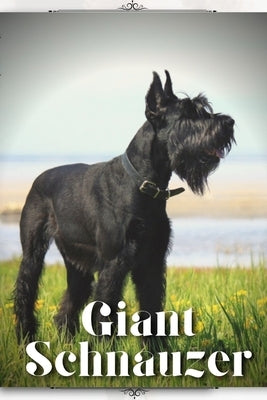 Giant Schnauzer: Dog breed overview and guide by Pustova, Nina