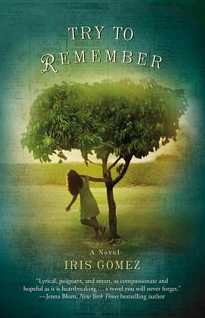 Try to Remember by Gomez, Iris