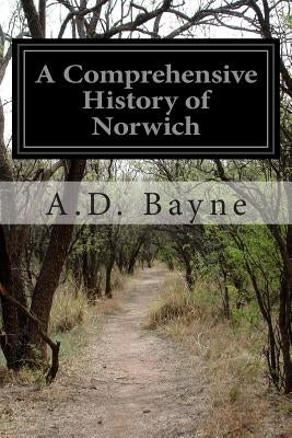 A Comprehensive History of Norwich by Bayne, A. D.