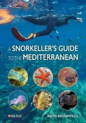 A Snorkeller's Guide to the Mediterranean: A Photographic Id Guide to the Most Commonly Encountered Marine Species by Broomfield, Keith
