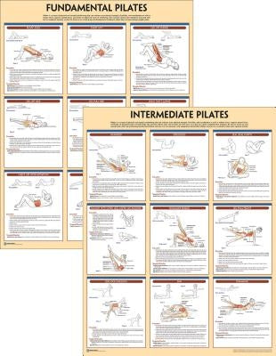 Pilates Anatomy Poster Series by Human Kinetics