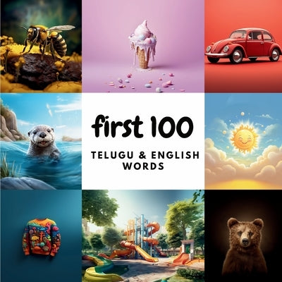 First 100 Telugu & English Words by Heidary, Ali