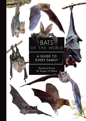 Bats of the World: A Guide to Every Family by Frick, Winifred