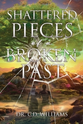 Shattered Pieces of a Broken Past by Williams, C. D.