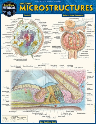 Anatomy Microstructures: A Quickstudy Laminated Reference Guide by Perez, Vincent