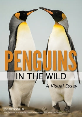 Penguins in the Wild by McDonald, Joe
