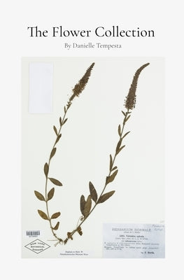The Flower Collection by Tempesta, Danielle