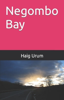 Negombo Bay by Urum, Haig