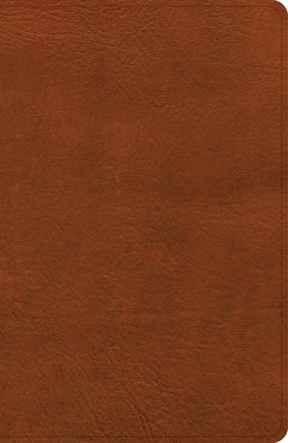 CSB Large Print Personal Size Reference Bible, Digital Study Edition, Burnt Sienna Leathertouch by Csb Bibles by Holman