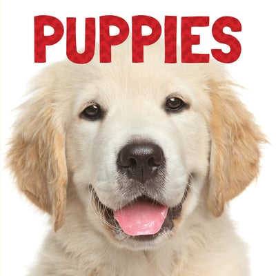 Puppies by Meyers, Stephanie