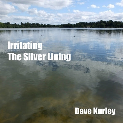 Irritating the Silver Lining by Kurley, Dave