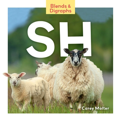 Sh by Carey Molter
