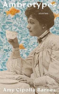Ambrotypes by Barnes, Amy Cipolla