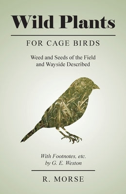 Wild Plants for Cage Birds - Weed and Seeds of the Field and Wayside Described - With Footnotes, etc., by G. E. Weston by Morse, R.
