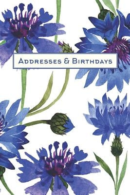 Addresses & Birthdays: Watercolor Blue Carnations by Press, Andante