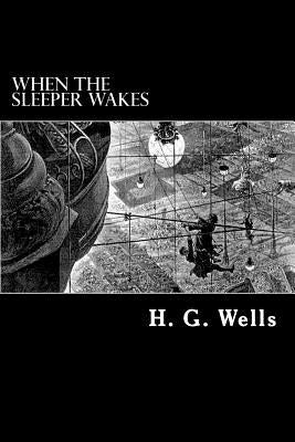 When The Sleeper Wakes by Struik, Alex