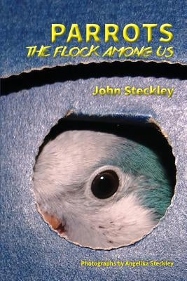Parrots: The Flock Among Us, Deluxe Colour Edition by Steckley, John