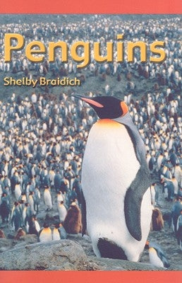 Penguins by Braidich, Shelby