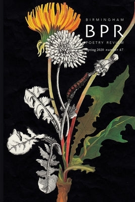 Birmingham Poetry Review by Vines, Adam