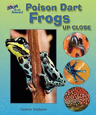 Poison Dart Frogs Up Close by Bredeson, Carmen