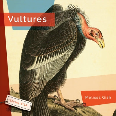 Vultures by Gish, Melissa