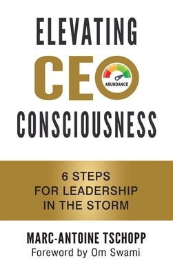Elevating CEO Consciousness: 6 Steps for Leadership in the Storm by Tschopp, Marc-Antoine