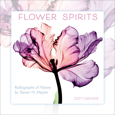 Flower Spirits: Radiographs of Nature by Steven N. Meyers by Steven N Meyers