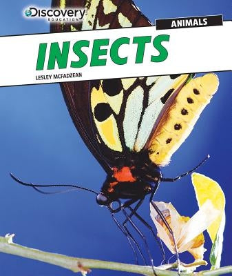 Insects by McFadzean, Lesley