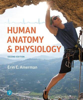 Human Anatomy & Physiology by Amerman, Erin