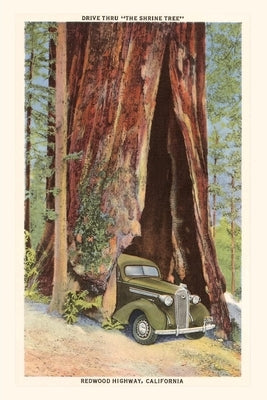 The Vintage Journal Car Driving through Redwood, California by Found Image Press