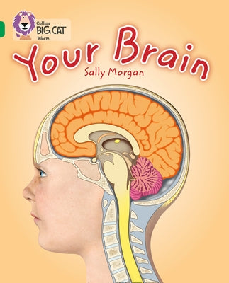 Your Brain: Band 15/Emerald by Morgan, Sally
