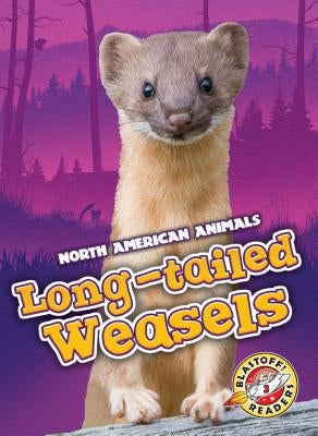 Long-Tailed Weasels by Sabelko, Rebecca