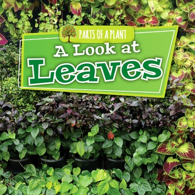 A Look at Leaves by Lowe, Lindsey