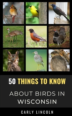 50 Things to Know About Birds in Wisconsin: Birding in the Badger State by Lincoln, Carly
