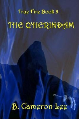 True Fire Book 3. The Q'Herindam by Lee, B. Cameron