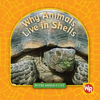 Why Animals Live in Shells by Weber, Valerie J.