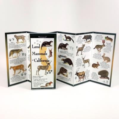 Land Mammals of California by Reid, Fiona