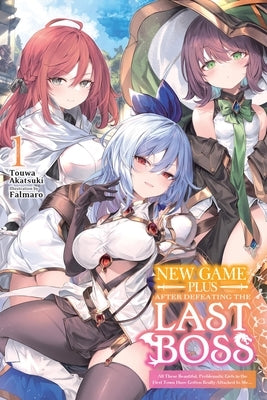 New Game Plus After Defeating the Last Boss, Vol. 1 (Light Novel) by Akatsuki, Touwa