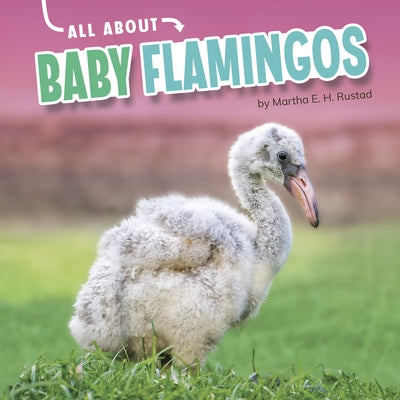 All about Baby Flamingos by Rustad, Martha E. H.