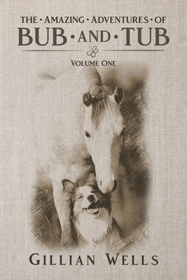 The Adventures of Bub & Tub: Volume One by Wells, Gillian