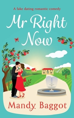 Mr Right Now by Baggot, Mandy