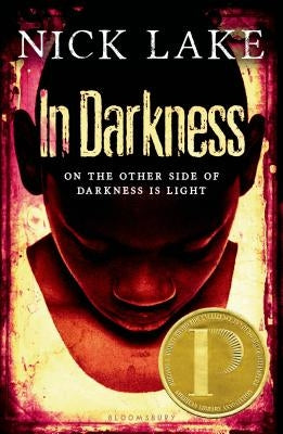 In Darkness by Lake, Nick