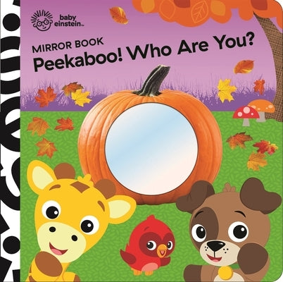 Baby Einstein: Peekaboo! Who Are You? Mirror Book by Pi Kids