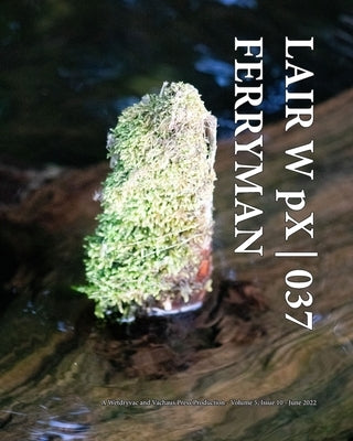 LAIR W pX 037 Ferryman by Wetdryvac